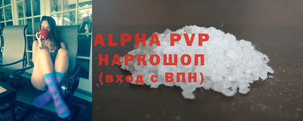 СК Новокубанск