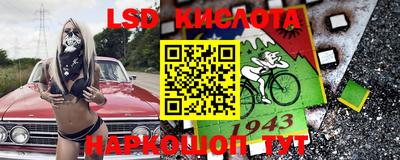 бошки Гатчина