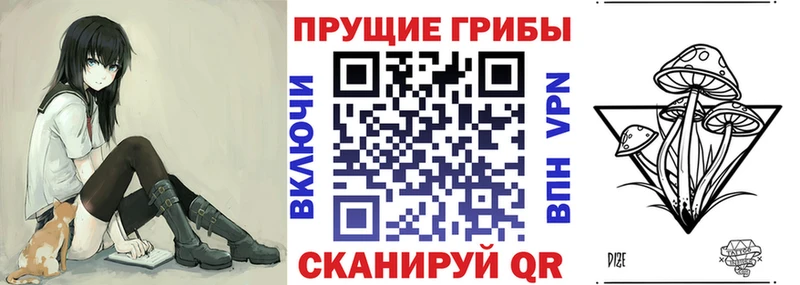 Псилоцибиновые грибы мицелий Корсаков
