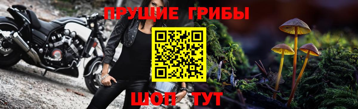 Корсаков  Псилоцибиновые грибы Psilocybe  Вход с VPN 